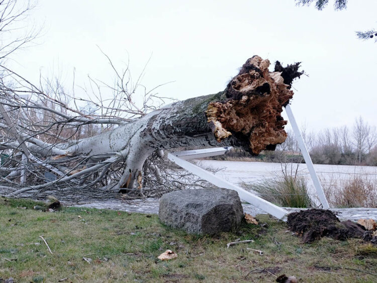 Consecuencias producidas por una borrasca. / ICAL