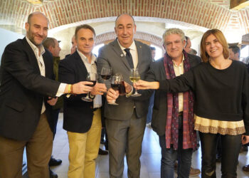 Pedro Varela, Máximo San Macario, Miguel Ángel de Vicente, José María Bravo y Magdalena Rodríguez brindan en el tradicional Vino de Navidad de la Diputación. / DIPUTACIÓN DE SEGOVIA