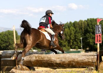 Uno de los participantes ejecuta un salto en el Campeonato de España de ponis en el Centro Ecuestre./FEDERACIÓN