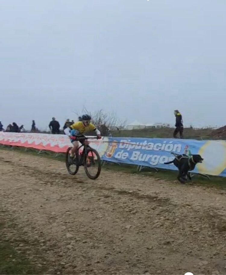 Tercer puesto para David Revenga en el Campeonato de España de mushing 1 David Revenga durante su participación en la prueba./ TRIATLÓN IMD SEGOVIA