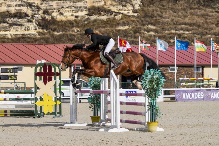 Un binomio, ejecutando un salto en el Centro Ecuestre./ E.A.