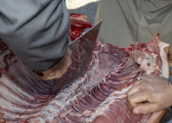 Imagen de archivo. Matanza popular / LUIS HORCAJADA