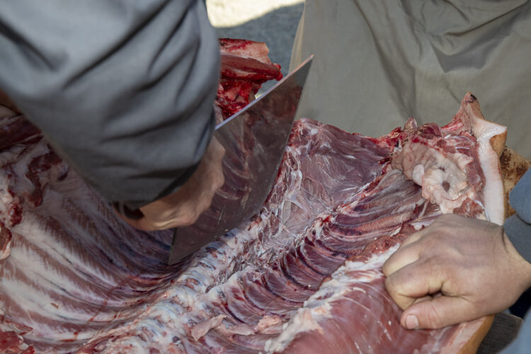 Imagen de archivo. Matanza popular / LUIS HORCAJADA