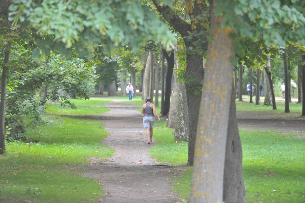 La aportación vecinal logra bajar a 111 las plazas de aparcamiento a suprimir en Nueva Segovia 3 05 1w 1