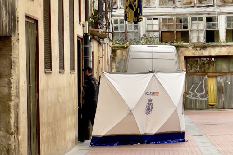 La búsqueda se ha iniciado a las siete de la mañana y en ella participan unidades especializadas de Policía Judicial y Científica procedentes de Madrid. / David Pérez-Cejuela