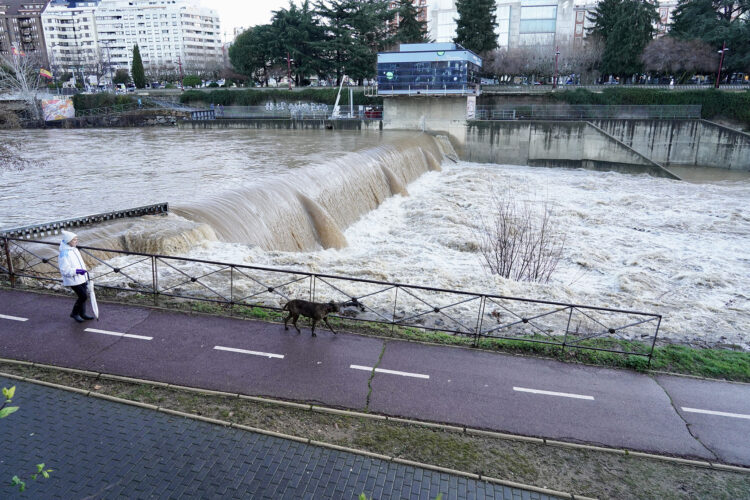 Río Bernesga a su paso por León. / Campillo