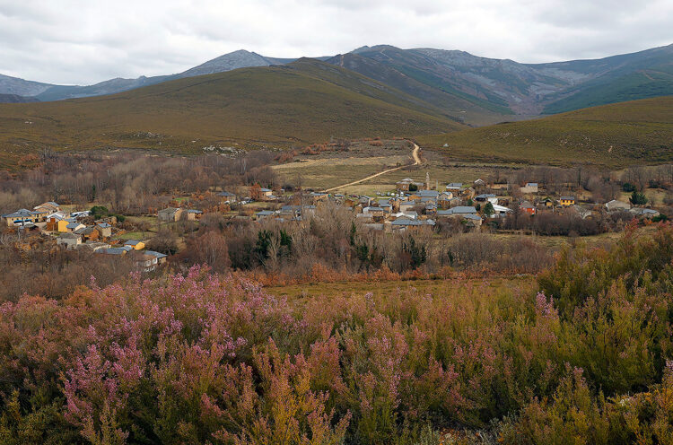 Comienza la plantación de árboles en el bosque de Valdavido, León 1 Se realizarán además trabajos de desbroce para disminuir el riesgo de incendios forestales. / Juanjo Guillén