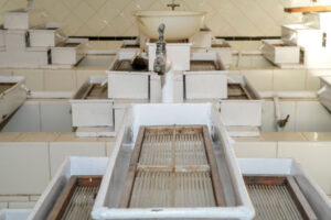 Francisco de Asís de Borbón. Piscifactoría en La Granja