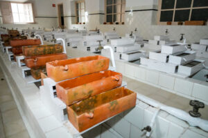 Francisco de Asís de Borbón. Piscifactoría en La Granja