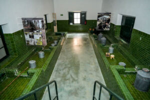 Francisco de Asís de Borbón. Piscifactoría en La Granja