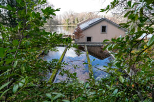 Francisco de Asís de Borbón. Piscifactoría en La Granja