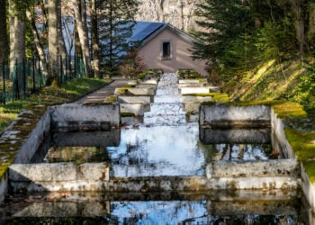 Francisco de Asís de Borbón. Piscifactoría en La Granja