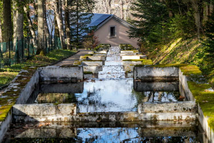 Francisco de Asís de Borbón. Piscifactoría en La Granja