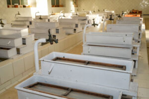 Francisco de Asís de Borbón. Piscifactoría en La Granja