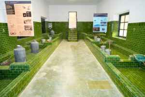 Francisco de Asís de Borbón. Piscifactoría en La Granja