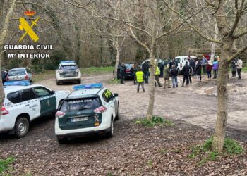 Treinta efectivos rastrearon un total de 200 hectáreas, hasta que la hallaron, sin vida, en un barranco.