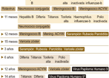 Calendario vacunal a lo largo de la vida.