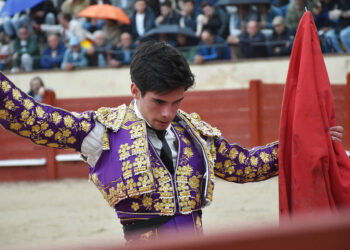 El novillero de Palazuelos de Eresma, Daniel Hernández. / A.M.
