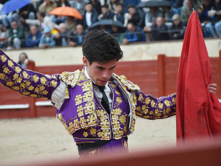 El novillero de Palazuelos de Eresma, Daniel Hernández. / A.M.