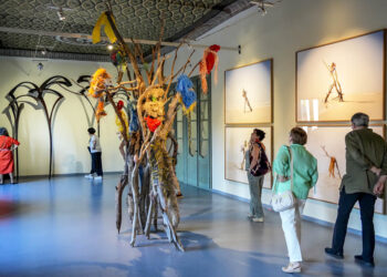 Exposición 'Über die Grenzen' en el Palacio Quintanar. / MIGUEL ÁNGEL FERNÁNDEZ