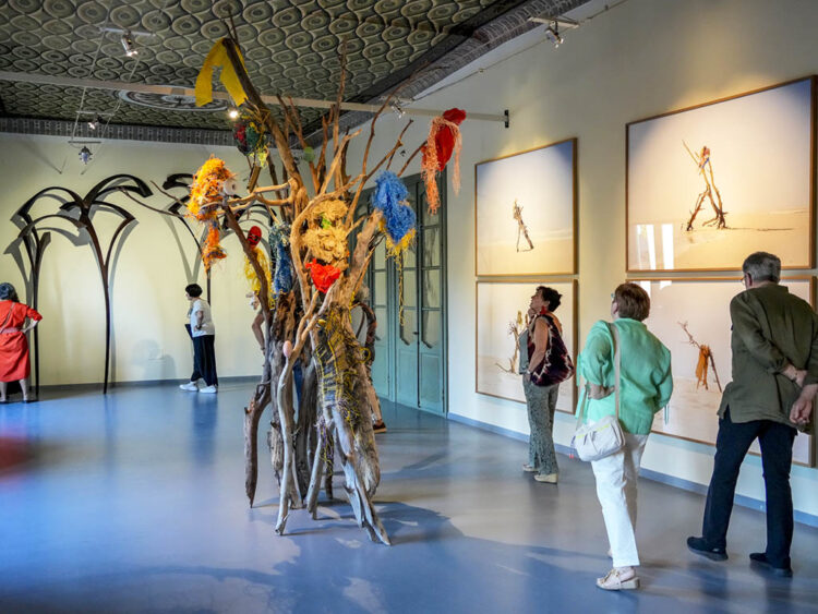 El Palacio Quintanar cierra el año con cerca de 35.000 visitantes y más de cien actividades programadas 1 Exposición 'Über die Grenzen' en el Palacio Quintanar. / MIGUEL ÁNGEL FERNÁNDEZ