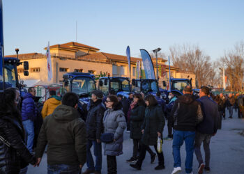 Instantes de la pasada edición de la Feria de ‘El Ángel’ / E.A.