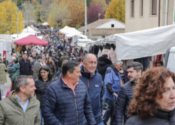 Solamente dieciocho ferias de las numerosas que se celebran a lo largo del año en la provincia de Segovia se han acogido a la clasificación de “Ferias Comerciales Oficiales”, un listado que publica anualmente la Dirección General de Comercio y Consumo, dependiente de la Consejería de Industria, Comercio y Empleo de la Junta. No faltan en la lista ferias que tienen una amplia repercusión en la provincia, tales como la de Muestras de Cuéllar o la de El Ángel de Fuentepelayo, pero sí se echan de menos otras muchas que también gozan de gran aceptación popular.