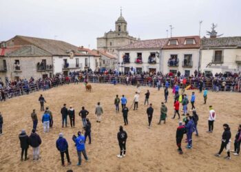 Suelta de astados durante las fiestas de San Sebastián de Villacastín. / MIGUEL ÁNGEL FERNÁNDEZ