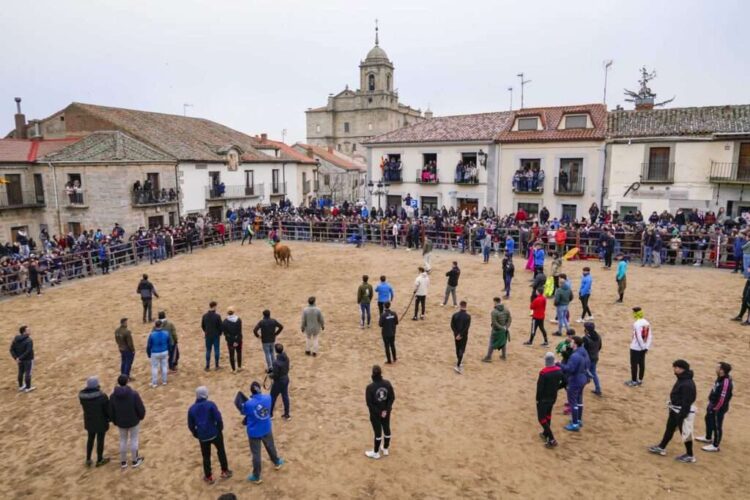 Villacastín vuelve a abrir la temporada taurina en la provincia 1 Suelta de astados durante las fiestas de San Sebastián de Villacastín. / MIGUEL ÁNGEL FERNÁNDEZ