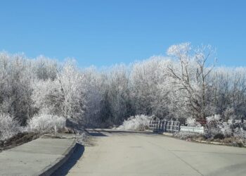Foto de archivo. Helada en Cuéllar / E.A.
