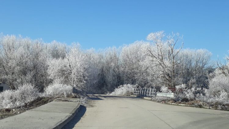 Foto de archivo. Helada en Cuéllar / E.A.