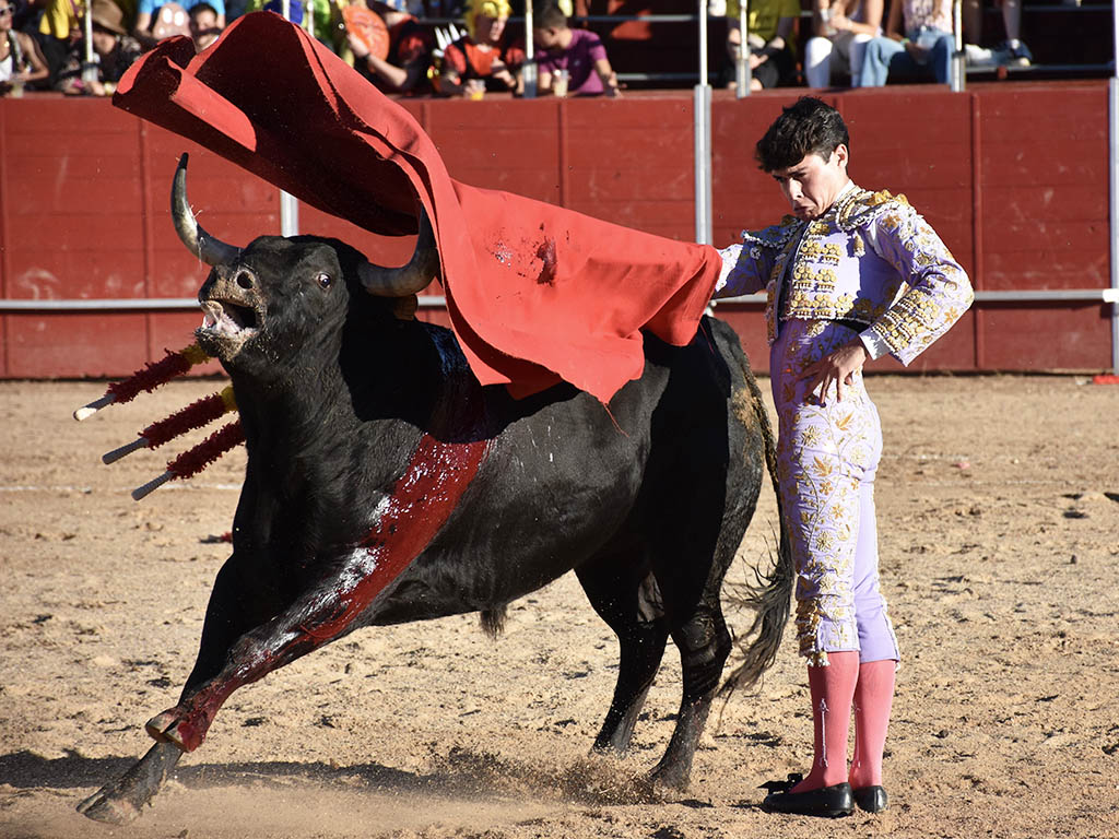 Despedida de Robleño, novillada con picadores de Cebada Gago y concurso de cortes en Ayllón 2 El torero burgalés Roberto Martín 'Jarocho'. / A.M.