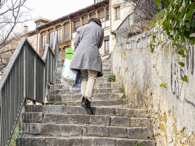 Piden al Ayuntamiento recuperar el proyecto del ascensor entre San Millán y el paseo del Salón 1 Una mujer, subiendo por las escaleras de acceso al Paseo del Salón. / KAMARERO