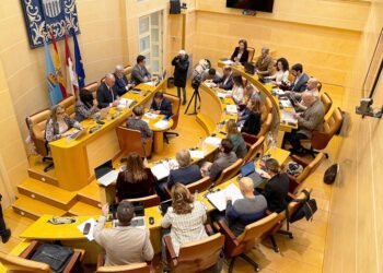 Pleno del Ayuntamiento de Segovia.