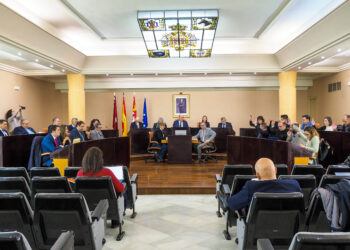 Votación del Pleno de la Diputación de Segovia. / HÉCTOR CRIADO