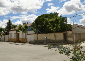 Vista de la localidad de Ciruelos de Coca / E.A.