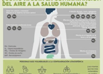 la contaminacion web