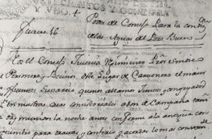 Poder del concejo, se conserva en el Archivo Provincial de Segovia.