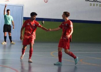 Los jugadores del Segosala celebran un gol en su partido ante el Tierra Castellana./CD SEGOSALA