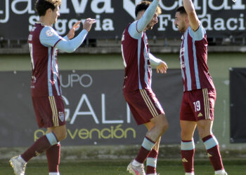 Los jugadores de la Sego celebran el gol de Davo en su encuentro ante el Lugo./JUAN MARTÍN-G. SEGOVIANA