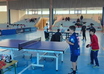 Imagen de algunos partidos de la final provincial de tenis de mesa./ DIPUTACIÓN