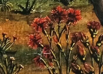 1 Pelayos 5 Huida detalle