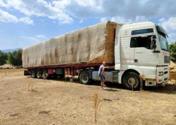 Las exportaciones de productos agrícolas se han duplicado en los últimos años.