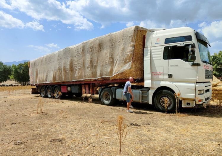 El sector de la agricultura incrementó la exportación hasta 14.000 toneladas en el último año 1 Las exportaciones de productos agrícolas se han duplicado en los últimos años.
