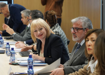 La Consejera de Industria preside el Pleno del Consejo Regional de Economía Social. / Rubén Cacho