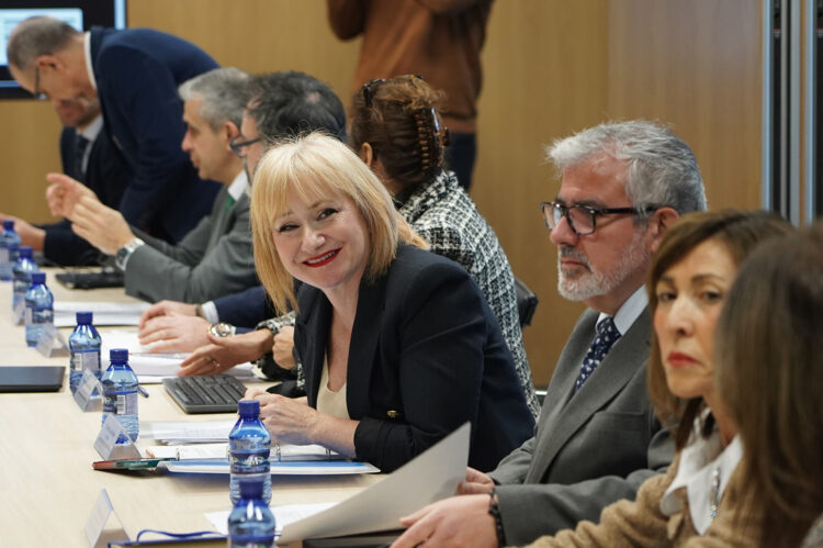 El Consejo Regional de Economía Social acuerda ayudas y cursos para fomentar el cooperativismo 1 La Consejera de Industria preside el Pleno del Consejo Regional de Economía Social. / Rubén Cacho