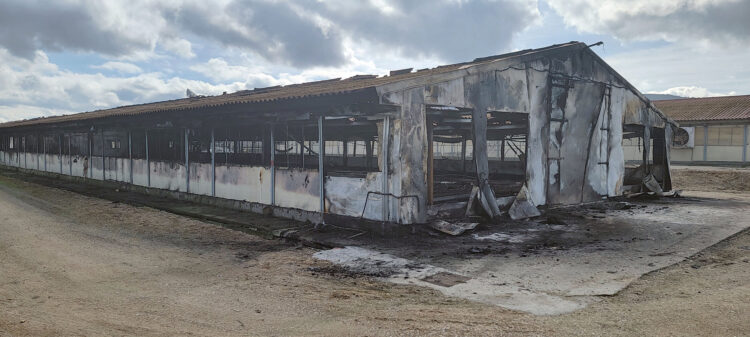 Arde una nave avícola con 12.000 gallinas en Cevico de la Torre (Palencia) 1 La nave de Cevico de la Torre, tras el incendio.