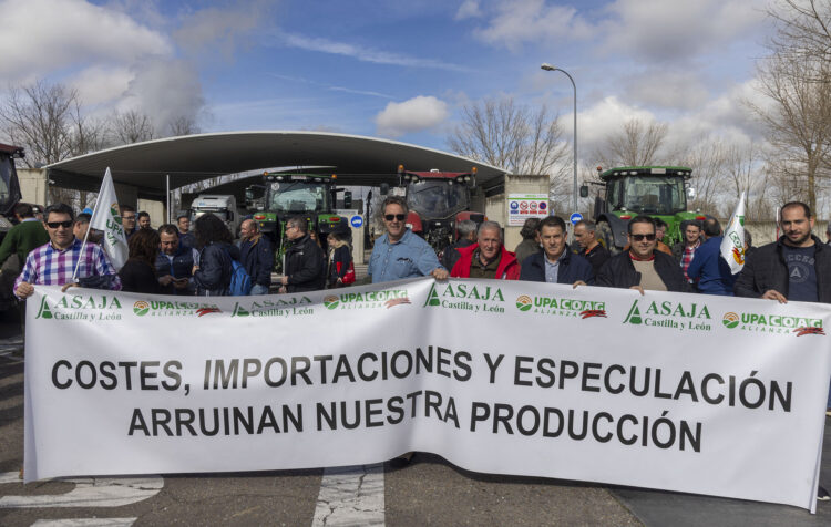 Un millar de cerealistas protesta en Babilafuente, Salamanca, por la especulación industrial con los precios 1 Los cerealistas exigen la imposición de aranceles a Ucrania. / Susana Martín