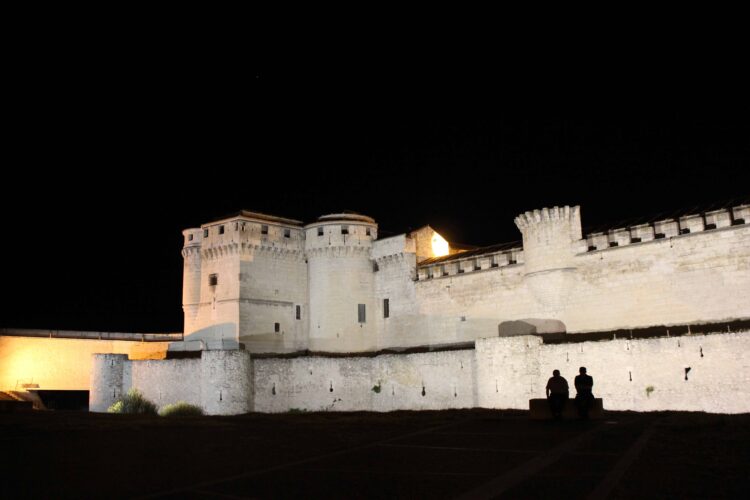Los participantes del I Encuentro de Conjuntos Históricos recorren Cuéllar 1 Castillo de la villa segoviana de Cuéllar / E.A.