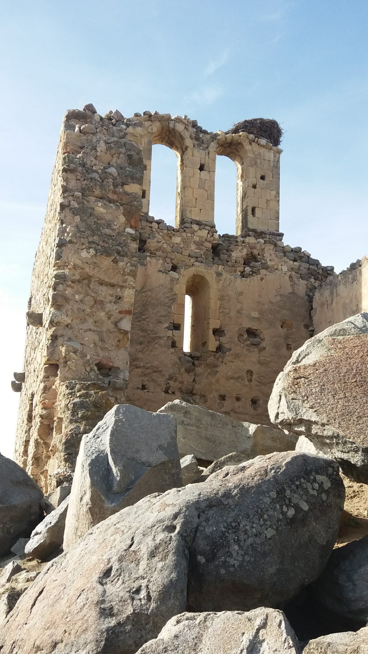 20161103 142623 scaled